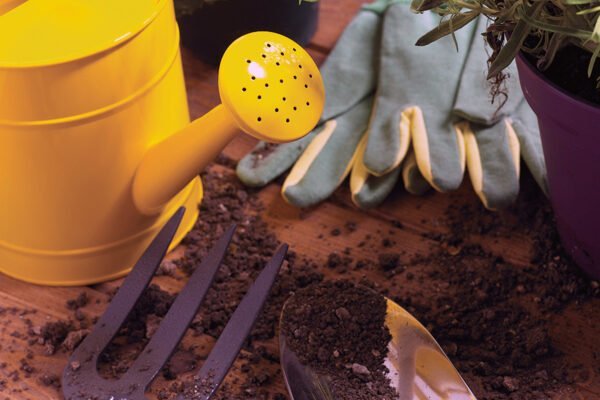 6 Essential Tasks to Prepare your Garden for Winter