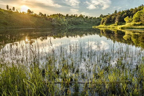 Caledon Ontario Real Estate Market