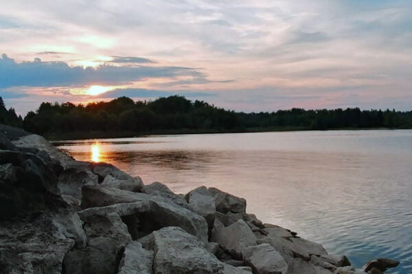 Hillsburgh Ontario Real Estate Market
