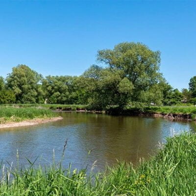 Meadowvale Real Estate & Neighbourhood Profile